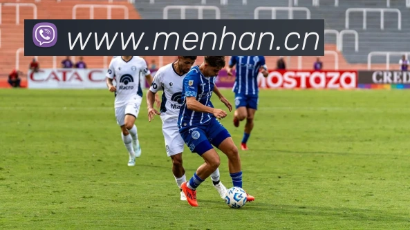 开云app官方入口网页版平台生态图